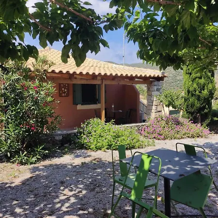 Desposia Apartament